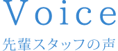 先輩スタッフの声