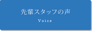 先輩スタッフの声